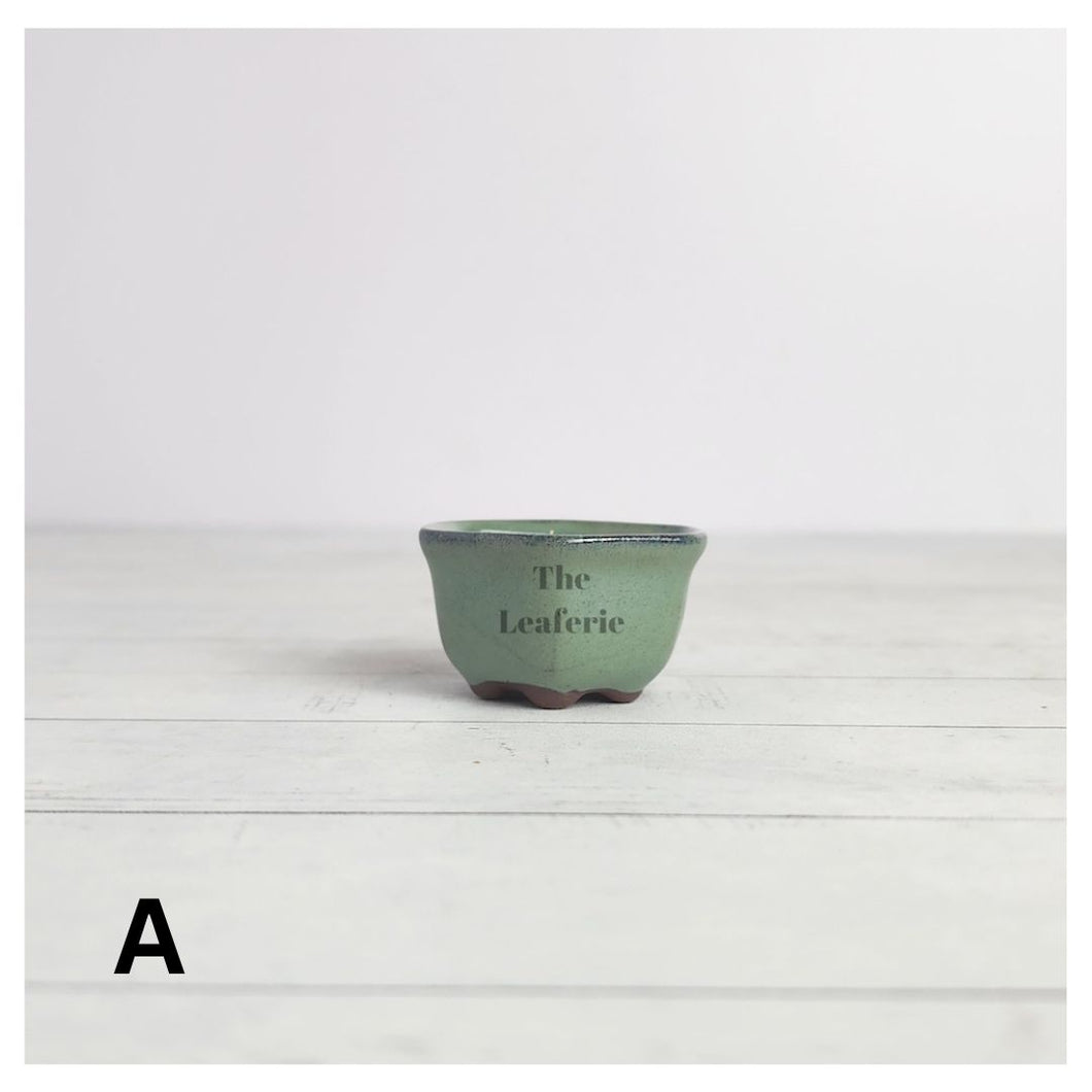 Petit Bonsai Pot (Series 16) Hexagon shape
