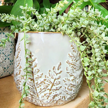 Load image into Gallery viewer, Colleen Flowerpot
