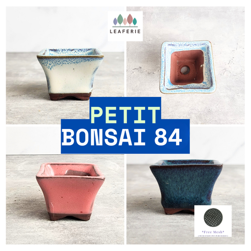 Collage of four ceramic bonsai pots with 'LEAFERIE' branding and 'PETIT BONSAI 84' text.