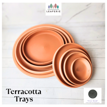Load image into Gallery viewer, Terracotta Round Trays (7 Sizes)
