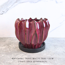 Load image into Gallery viewer, Elo Flowerpot
