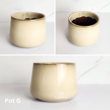 Load image into Gallery viewer, The Leaferie Mini Pots (Series 10). 9 designs.Design G
