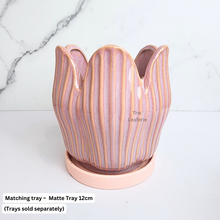 Load image into Gallery viewer, The Leaferie Castillo ceramic pot. 2 colours pink and white.
