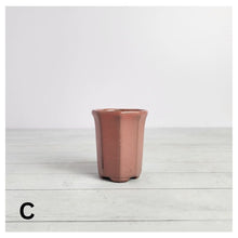 Load image into Gallery viewer, Petit Bonsai Pot (Series 7)
