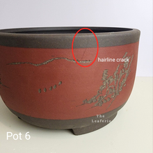 Load image into Gallery viewer, As-Is Pots Batch August 2023 (13 items)
