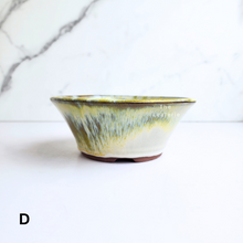 Load image into Gallery viewer, Bonsai Flowerpot (Series 51) 8 colours
