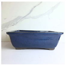 Load image into Gallery viewer, Bonsai Tally (Series 7) Rectangular Flowerpot

