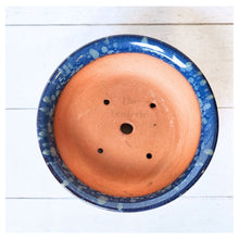 Load image into Gallery viewer, Petit Bonsai Flowerpot (Series 11)
