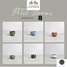 Load image into Gallery viewer, Petit Bonsai Pot (Series 8)
