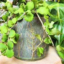 Load image into Gallery viewer, Riona Flowerpot
