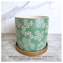 Load image into Gallery viewer, Alina pot Green plant pot with floral pattern on a wooden surface, branded 'LEAFAERIE'.
