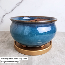 Load image into Gallery viewer, The Leaferie Anne big pot. 2 colours ceramic pot
