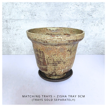 Load image into Gallery viewer, Elara Two ceramic pots with 'Elara' branding on a light background
