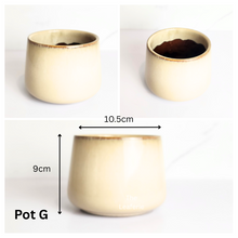 Load image into Gallery viewer, Mini Flowerpots (Series 10) 10cm
