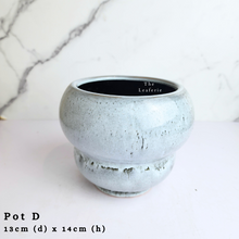 Load image into Gallery viewer, The Leaferie AS-Is May 2024. 12 pieces ceramic pots
