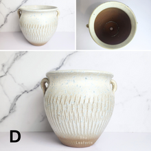 Load image into Gallery viewer, The Leaferie Anya Big pot ($ designs ceramic material
