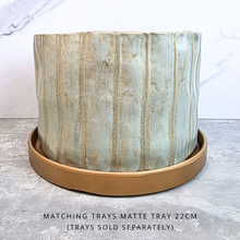 Load image into Gallery viewer, The Leaferie Camila shallow flowerpot . ceramic material.
