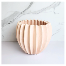 Load image into Gallery viewer, Bae Flowerpot (Series 2)
