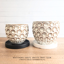 Load image into Gallery viewer, Sen Flowerpot (2 Sizes)
