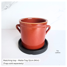 Load image into Gallery viewer, Red ceramic pot with handles on a matching tray, on a white background
