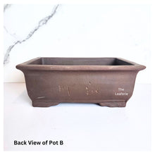 Load image into Gallery viewer, Bonsai Rectangular (Series 2)
