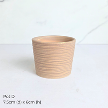 Load image into Gallery viewer, As-is Sept 26. 9 items with slight defects.
