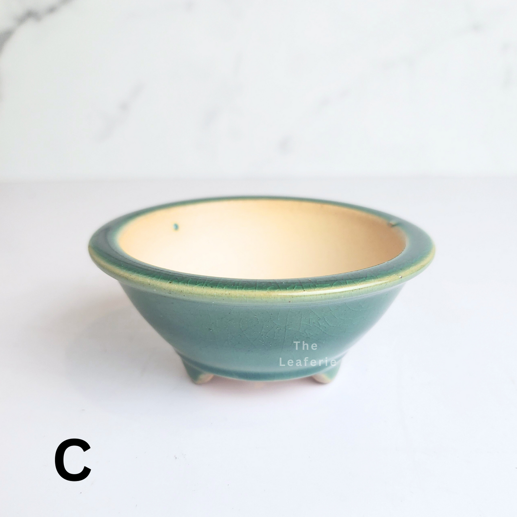 The Leaferie Petit bonsai series 46. 3 colours bonsai pots