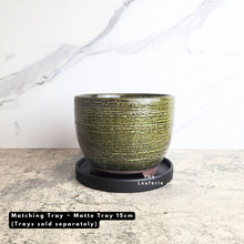 Load image into Gallery viewer, The Leaferie Pagona Pot. ceramic flowerpot with 2 designs
