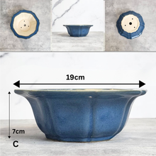 Load image into Gallery viewer, Tally Bonsai Flowerpot (Series 2)
