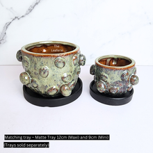 Load image into Gallery viewer, The Leaferie Maisie ceramic pot with 2 sizes. 
