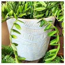 Load image into Gallery viewer, Eilish Flowerpot
