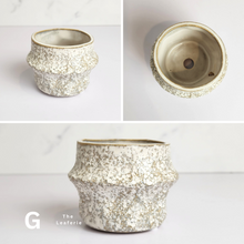 Load image into Gallery viewer, The Leaferie Petit Pots Series 11 . 12 designs mini ceramic pots. view of design G
