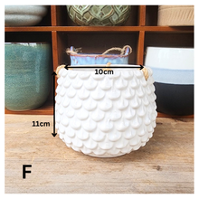 Load image into Gallery viewer, Lyon Hanging Flowerpot (Series 5)
