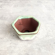 Load image into Gallery viewer, The Leaferie Bonsai 79. Hexagon shape 4 colours ceramic pot
