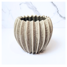 Load image into Gallery viewer, Bae Flowerpot (Series 1)
