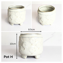Load image into Gallery viewer, Mini Flowerpots (Series 10) 10cm
