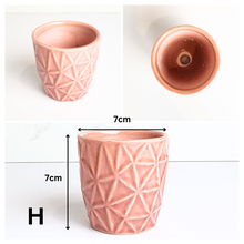 Load image into Gallery viewer, Petit Flowerpots (Series 10)
