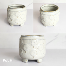 Load image into Gallery viewer, The Leaferie Mini Pots (Series 10). 9 designs.Design H
