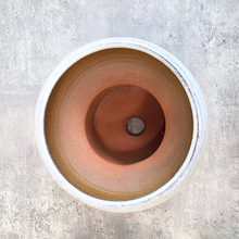 Load image into Gallery viewer, Luna Flowerpot

