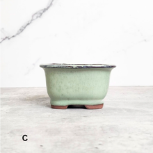 Load image into Gallery viewer, Bonsai Flowerpot (Series 24) Rectangular
