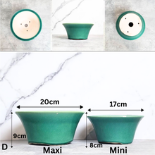 Load image into Gallery viewer, Tally Bonsai Flowerpot (Series 2)
