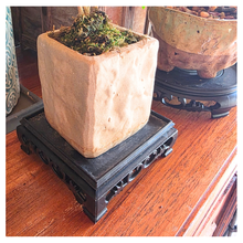 Load image into Gallery viewer, Qing Plastic Trays / stand (6 sizes)
