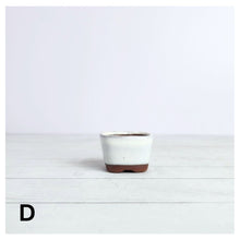 Load image into Gallery viewer, Petit Bonsai Flowerpot (Series 6)
