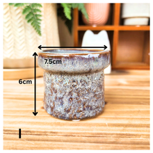 Load image into Gallery viewer, Petit Flowerpots (Series 5)
