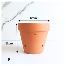 Load image into Gallery viewer, HANNA Terracotta Flowerpot with Holes (Tall) 6 sizes
