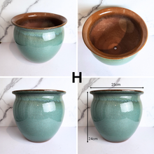 Load image into Gallery viewer, Albany Large Flowerpot (8 Designs)
