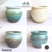 Load image into Gallery viewer, Astera Flowerpot
