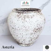 Load image into Gallery viewer, Asteria Flowerpot
