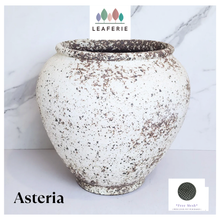 Load image into Gallery viewer, Asteria Flowerpot

