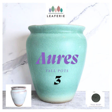 The leaferies Aures tall pot series 3 . 2 colours ceramic pot
